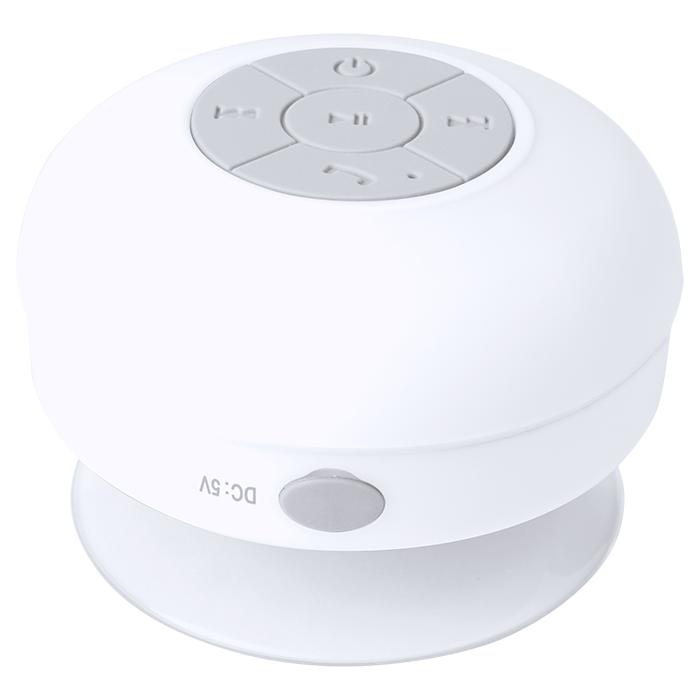 Rariax Bluetooth Speaker