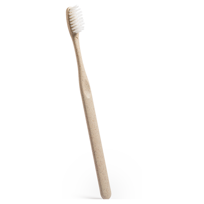 Toothbrush Cleidol
