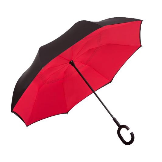 Reversible Umbrella