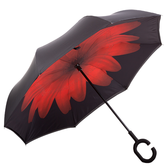 Printed Reversible Umbrella