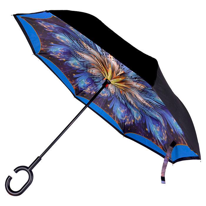 Printed Reversible Umbrella