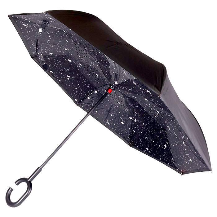 Printed Reversible Umbrella