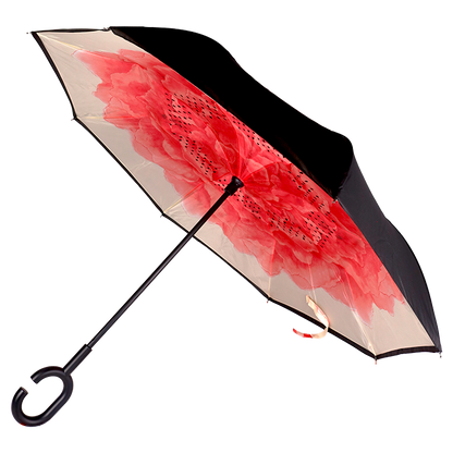 Printed Reversible Umbrella