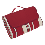 Barron BR0019 - 160gsm Outdoor Blanket