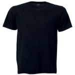 Barron 180g Barron Crew Neck T-Shirt (TST180B)