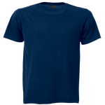 Barron 180g Barron Crew Neck T-Shirt (TST180B)