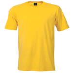 Barron 180g Barron Crew Neck T-Shirt (TST180B)
