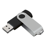 Barron BE0079 - 16GB Black/Silver Swivel USB