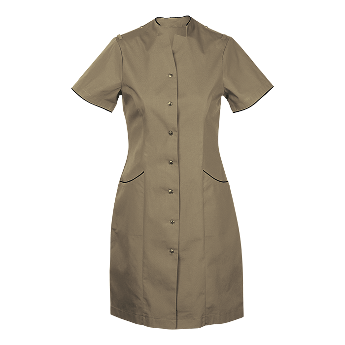 Barron Daisy Dress (DS-DAI)