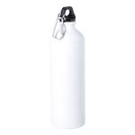 Barron Delby 800ml Water Bottle