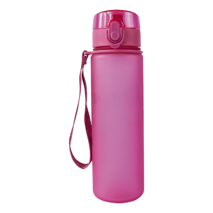 Barron 600ml Frosted Cylinder Water Bottle
