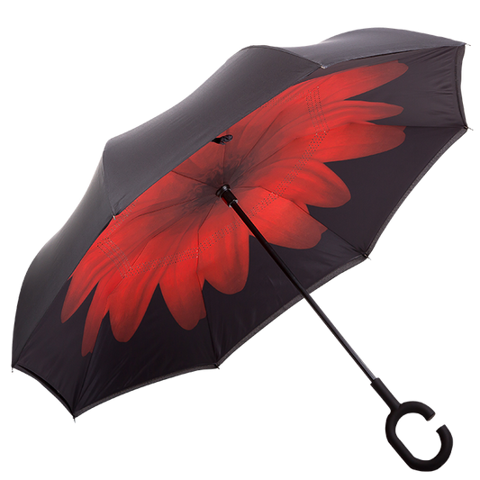 Barron Printed Reversible Umbrella